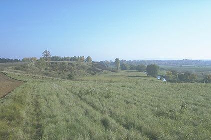 Pfalz Werla, Bild 6