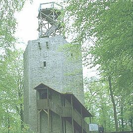 Burgruine Lichtenberg (Salzgitter), Bild