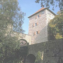 Burg Neuhaus (Stadtgebiet Wolfsburg), Bild